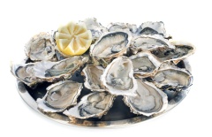 french oysters